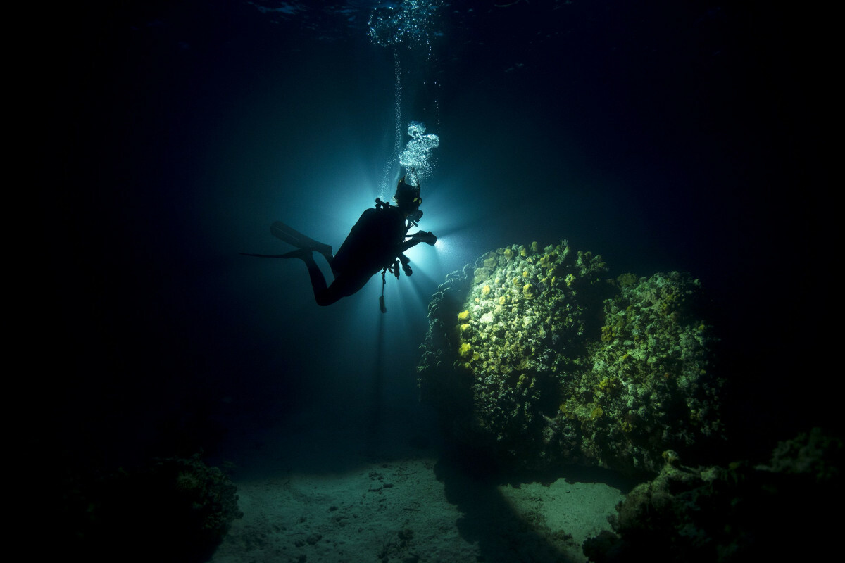 <span style="font-weight: bold;">Night Diver</span><br>