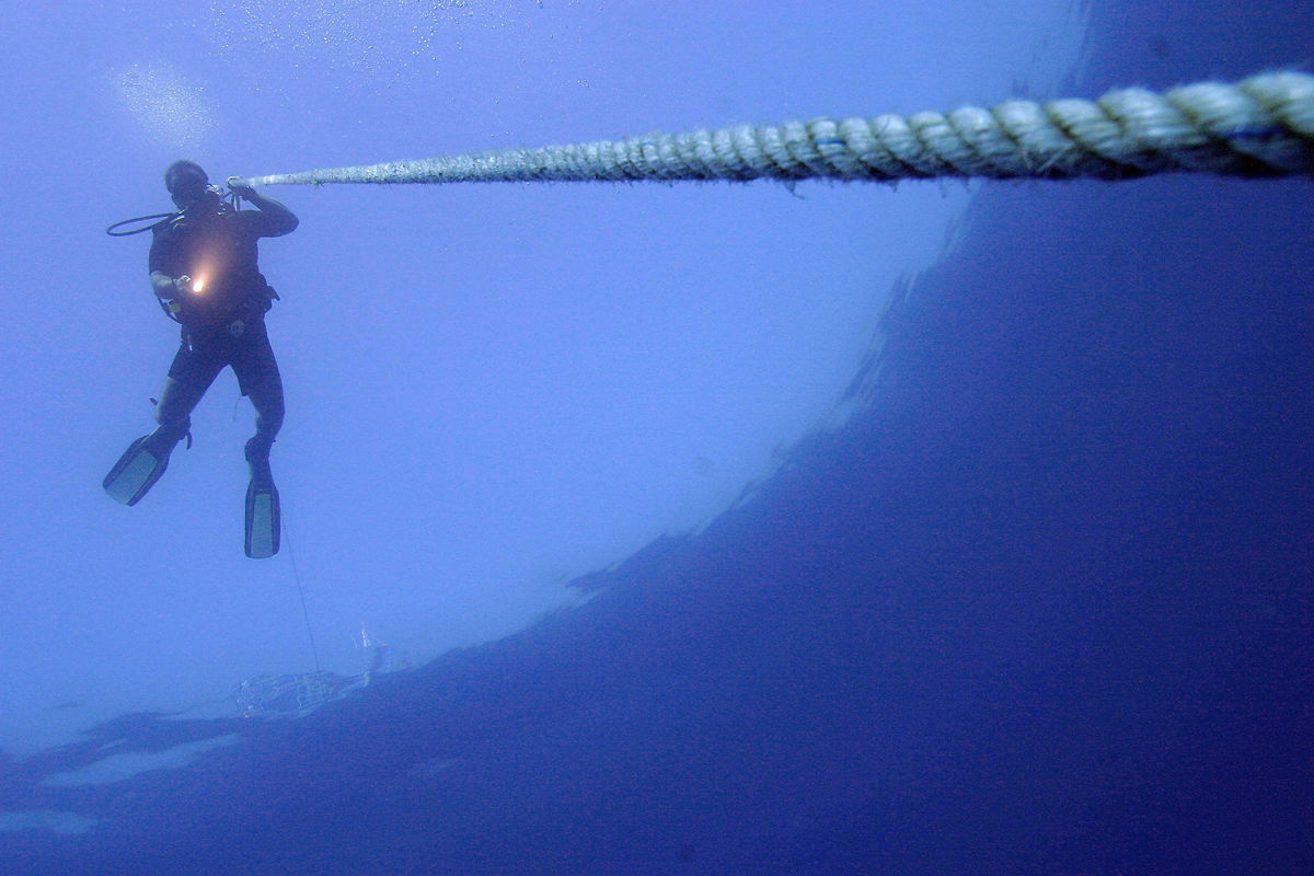 <span style="font-weight: bold;">Deep Diver</span>