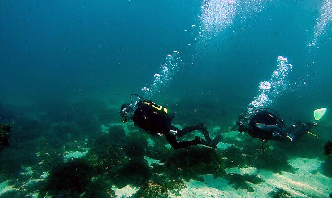 <span style="font-weight: bold;">Universal Diver</span><br>